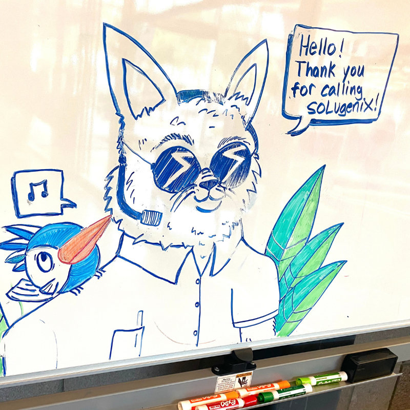 Thank you for calling Solugenix Whiteboard Art