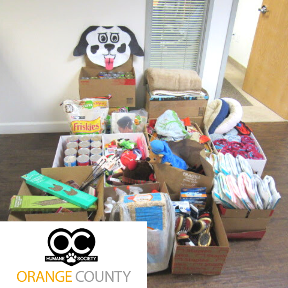 Volunteers at the Orange County Animal Shelter